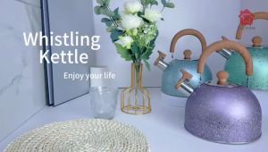 High Quality Stainless Steel Whistling Kettle - 2L 3L 4L