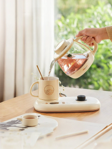 Bear | Multi-functional Small Glass Water Kettle and Tea Infuser
