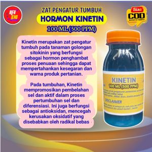 ZPT KINETIN hormon sitokinin regulator pertumbuhan tanaman meningkatkan perkecambahan dan buah mengurangi dominasi apikal cocok untuk semua jenis tanaman