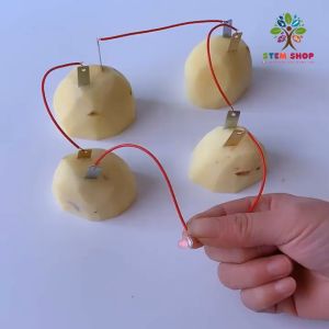 Thí nghiệm STEM: Bộ thí nghiệm Máy phát điện từ trái cây. Đồ chơi giáo dục khoa học sáng tạo dành cho bé STEM3G