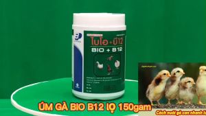 BIO-B12 ÚM GÀ CON GÀ ĐÁ. 1 goi 20 GRAM.thuôc phong bênh cho gà
