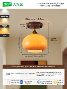 DGY | French Retro Style New Design Ceiling Light