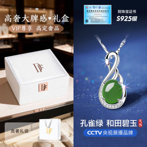 Elegant Silver Necklace Jewelry Gift Box for Girlfriend Mother In-Law Birthday Valentines Day Creative Customizable Present