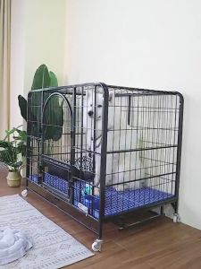 【IN STOCK】Square Tube Dog Cage Stainless Steel Dog Crate Pet Cage Large Skylight Double Door With Poop Tray And Wheels