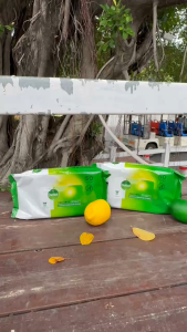Dettol Antibacterial Wipes 50’s – Cleans and Protects from Germs Travel-Friendly Pack