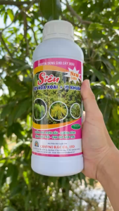 SIÊU VỌT HOA XOÀI + VI KHUẨN – CHỐNG PHÁ NGHẼN ĐẦU – DƯỠNG BÔNG TĂNG ĐẬU TRÁI – HẠN CHẾ NÁM TRÁI (Chai 1 lít)