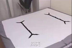 【PH-DIAMOND】6 Side Sheet Clip Adjustable Sheet Straps Suspender Clip Fastener