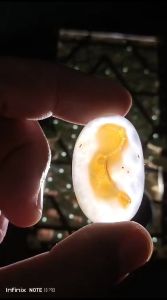 Natural Akik Enhydro Motif Gerak Air Dalam Batu Unik Antik Cek Video42