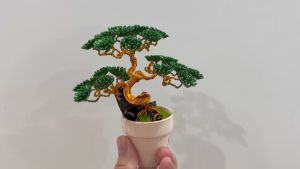 Bonsai handmade mini chậu trắng lá xanh