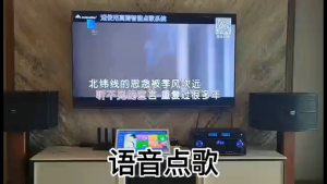 InAndOn Karaoke playerR5PROMATE 3TB HDD4 in 1 ECHO mixer18.5 IPS Touch screenmulti-Language songsCloud downloadYouTube onlineRecord and shareSmart AImulti-language songs