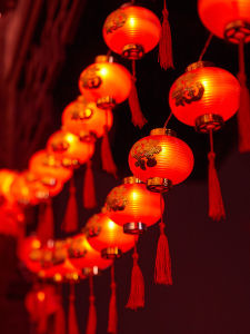 BEAUTY IN THE LIGHT | Solar Waterproof Outdoor Lanterns