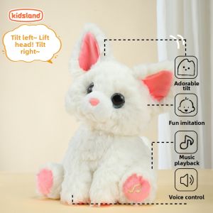 Kidland | Singing Peeking Playmate Teddy Plush Toy