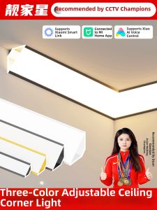 LIANGJIAXING | Decorative Ceiling Corner Light Strip