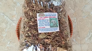 1kg cây thồm lồm tía sấy khô