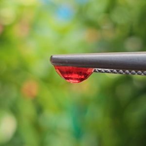 พลอย ทับทิม ซองเจีย Songea Ruby Sapphire 1.13 กะรัต (Cts.) พร้อมใบเซอร์ พลอยแท้ อัญมณีมงคลประจําวันเกิด เครื่องประดับพลอย