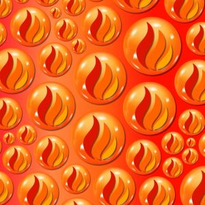 Force Factor Womens Fat Burner(60 Capsules) แฟตเบิร์นผู้หญิง