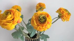 Dew Lotus Peony: Bunga Khas Tiongkok untuk Dekorasi