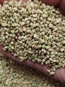 Diabetic Friendly Healthy Buckwheat Groats