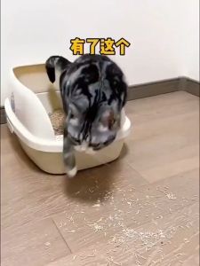 【MST PET】COD กระบะทรายแมว แผ่นดักทรายแมว แผ่นรองทรายแมว พรมดักทรายแมว ที่รองทรายแมว ดักทรายแมว แผ่นรองทรายแมวสัตว์เลี้ยงแบบหนา 2 ชั้น มี 3 สี