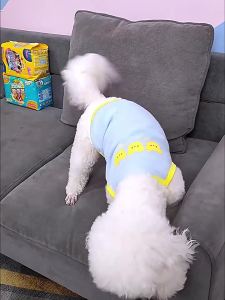 Cocoyo | Urine Leak Protection Dog Diapers Male Puppy and Cat Pants