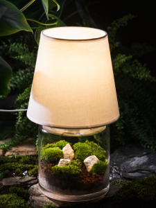 Ecological Bedside Lamp with Moss Micro Landscape by Shengye Creation LED Night Light Bedroom Decor Gift for Birthday