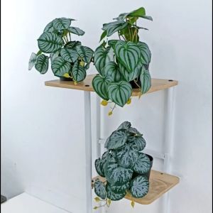 Tanaman Hias Ruang Tamu Pot Bunga Plastik Artificial Daun Rambat Julur Keladi Ornamen COD PBP39