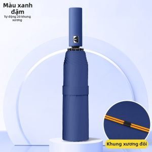 Ben.C | Ô Tự Động Gấp Chắc Chắn Kích Thước Lớn