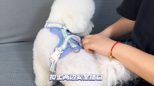 สายรัดอกสุนัข เสื้อกั๊กสายรัดอก เสื้อรัดอก เสื้อกั๊ก สายรัดอก ชุดรัดอก สุนัข หมา แมว สัตว์เลี้ยง สะท้อนแสง สำหรับหมาและแมว สายรัดอกสุนัขสะท้อนแสง แบบสวมใส่ง่าย COD พร้อมส่งในไทย