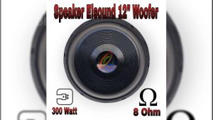 Speaker Elsound 12 inch Woofer