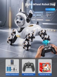 XIDIQI | Intelligent RC Stunt Toy Car for Kids 6+