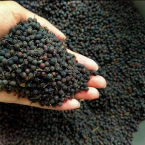 Kemukus kering 1kg premium