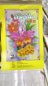 💙 สมุดฉีก ไม่มีเส้น เล่มใหญ่ AA/100 แผ่น 9.5 x 12 ซม. และ 12 x 18.2 ซม. 50 แกรม ราคา/เล่ม (คละลาย) | KKNT