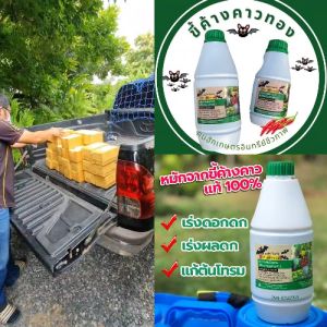 ขี้ค้างคาวทอง ชุดโปรโมชั่นขวดลิตร 2 ขวด