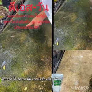 ผงกำจัดคราบตะไคร่น้ำ (2 แถม 1) ผงขจัดคราบตะไคร่น้ำ - สูตรใหม่เข้มข้นกว่าเดิม กลิ่นไม่ฉุน 120กรัม เบาแรงขัด ประหยัดเวลา