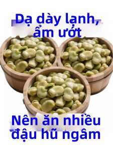 Đậu Fava Ăn Liền Gia Vị Ngũ Vị