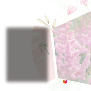 Worktext in General Botany (Second Edition) - 9789719821984 - C&E Bookshop