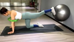 Estation - Yoga Gym Ball fitness 65 cm 75 cm/ Bola Gym / Bola Yoga Alat Olahraga / Bola Untuk Latihan