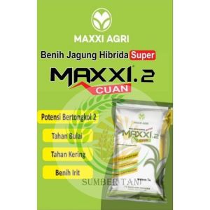 benih jagung hibrida super Maxxi 2 cuan kemasan 1kg