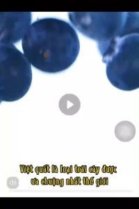 Việt quất sấy lạnh 500g việt quất sấy nguyên vị không thêm đường ăn vặt bổ dưỡng túi 500g chia 40 gói nhỏ