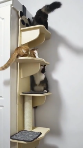Hanging Door Cat Climbing Frame Solid Wooden Cat Tower Cat Tree Cat Scratcher Cat Climbing Scratcher