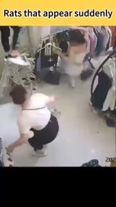 Rat Killer Ultrasonic Pest Repeller Rat Repellent Ultrasonic Rat Killer Electric rat repellent for home mouse repellent rat repellent for car engine