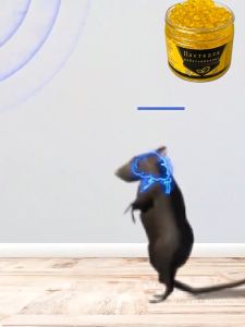 Rat Repellent Gel: Effective Home Mouse Repellent for Rodents