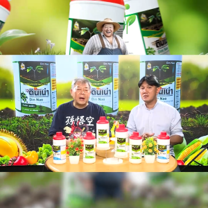 [2 แถม 1] ดินเน่า กู้ดิน เติมสารอาหารให้ดิน เร่งราก ดอก ผล ของแท้ 2 ขวด แถมฟรี ปราบมาร 1 ซอง