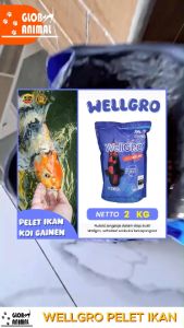 WELLGRO PELET IKAN KOI 2KG floating pakan ikan koi keko geinen