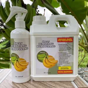 PEMATANG PISANG | MATENG Dalam 2 Hari | PISANG Mateng Secara INSTANT | 1 LITER GRTIS 250ML