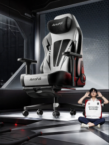 Ergonomic Gaming Chair