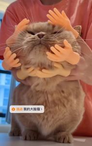 Cat Petting Small Finger Stall Douyin Five Finger Open Palm Mini Small Hand Finger Funny Cat Toy Creative Funny