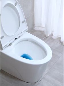 【Special offer】 PurePlunge Maternity Seat Bathtub Confinement Care Basin Elderly No Squatting Butt Wash Toilet For Men Women
