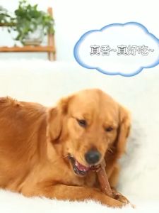 Pet Dog Chew Snacks Dog Molar Bone Toys For Teeth Training and Rewards