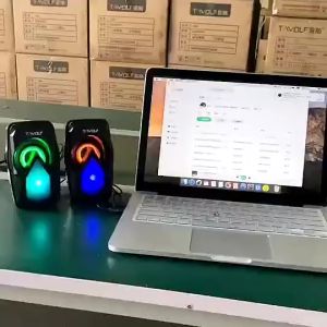 LOA VI TÍNH USB T-WOLF S11